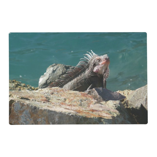 Iguana at St. Thomas Placemat (Front)