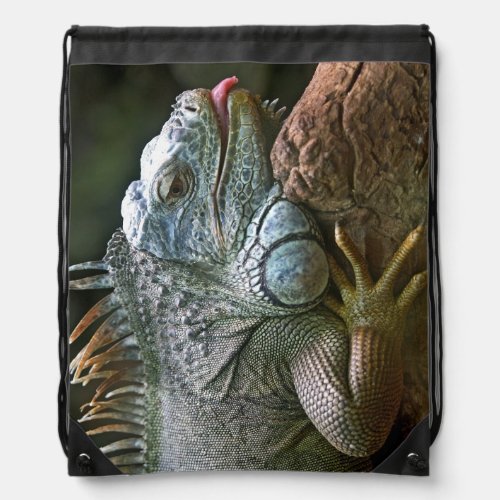 Iguana bag