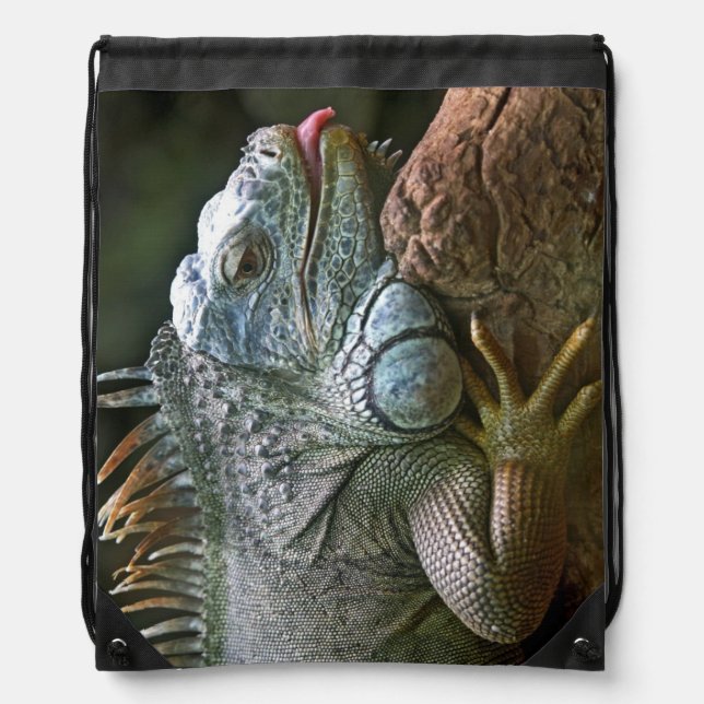 Iguana bag (Front)