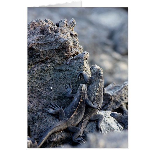 Iguana Be With You Cards (Front)