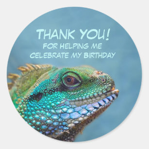 Iguana Birthday Thank You Classic Round Sticker