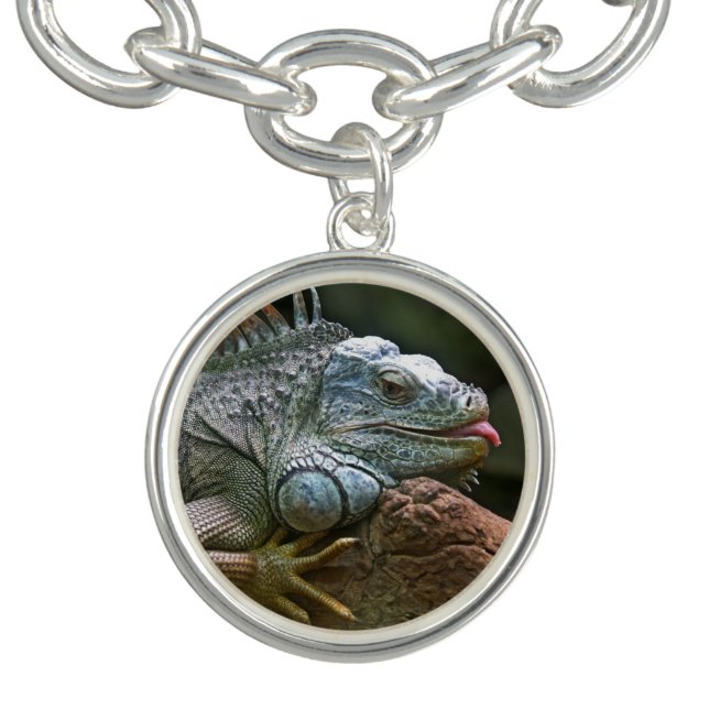 Iguana bracelets & charms (Design)