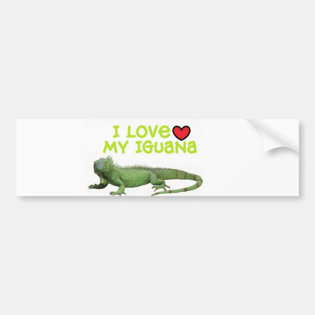 Iguana Bumper Sticker" I love my Iguana" Sticker (Front)