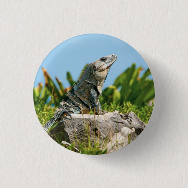 Iguana Button (Front)