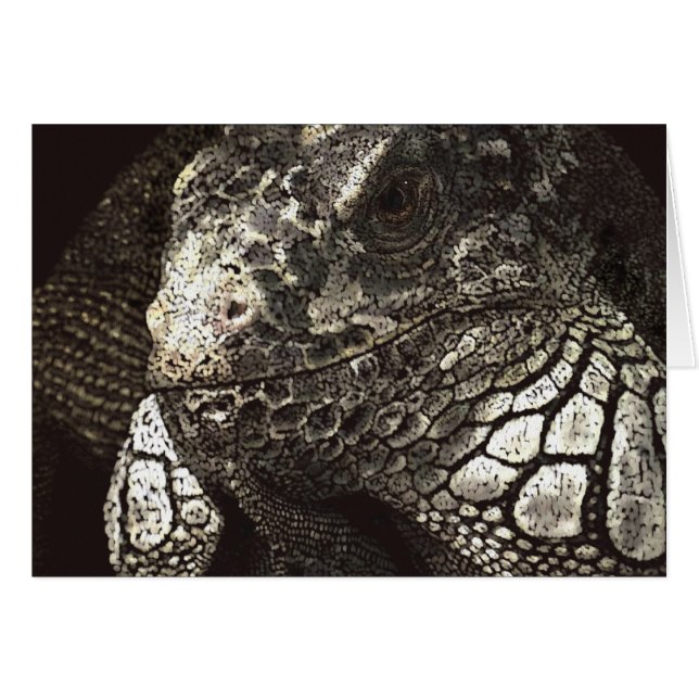Iguana Cards (Front Horizontal)
