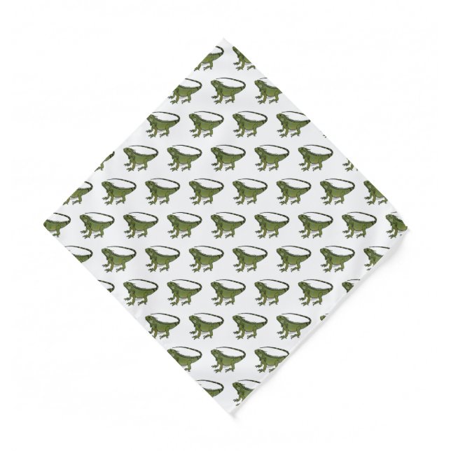 Iguana cartoon illustration bandana (Front)