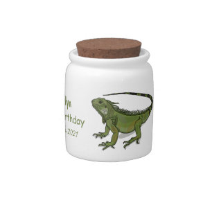 Iguana cartoon illustration candy jar