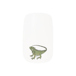 Iguana cartoon illustration  minx nail art