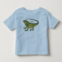Iguana cartoon illustration 