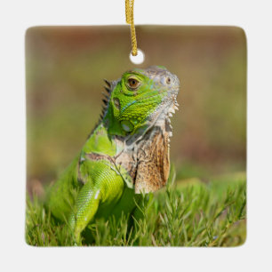 Iguana Ceramic Ornament
