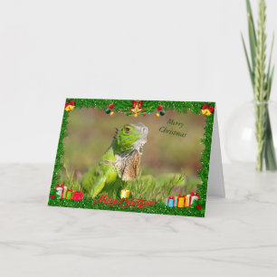 Iguana Christmas Card