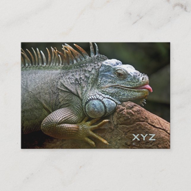 Iguana custom business cards (Front)