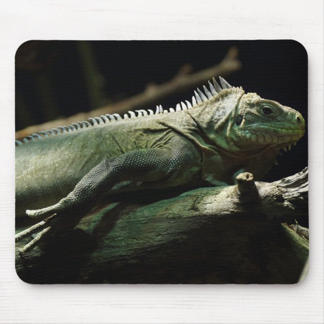 Iguana delicatissima mouse pad (Front)