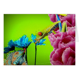 Iguana & Frog Cards
