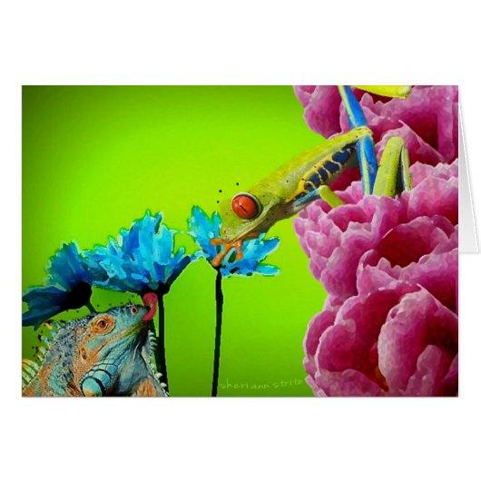 Iguana & Frog Cards (Front Horizontal)