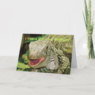 Iguana funny birthday card