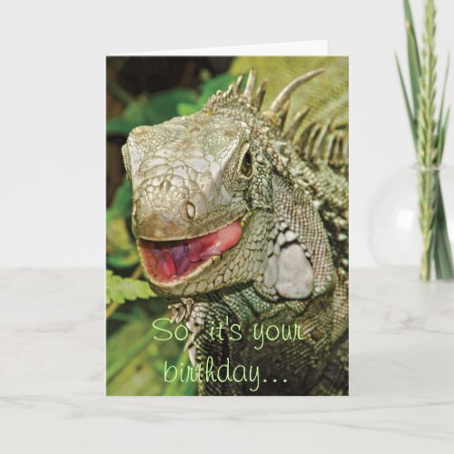 Iguana funny birthday card
