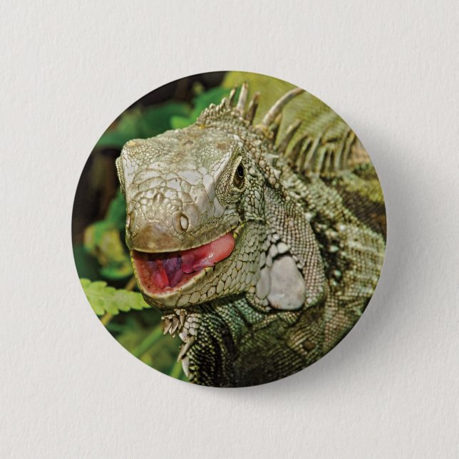 Iguana green pinback button (Front)