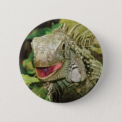 Iguana green pinback button