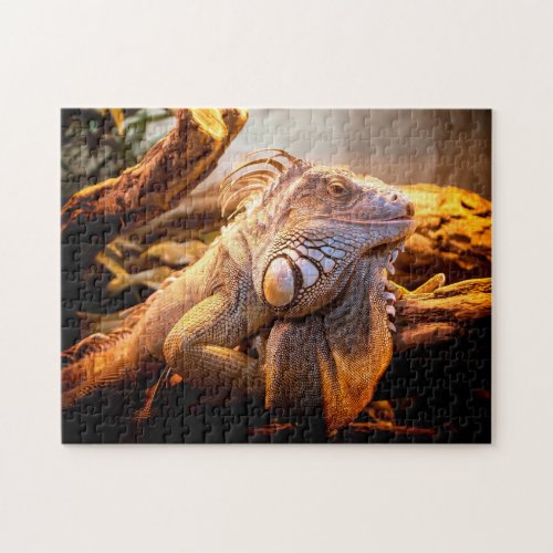 Iguana Head Close_up Jigsaw Puzzle