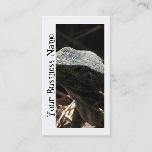 Customizable Iguana in the Shadows Business Card