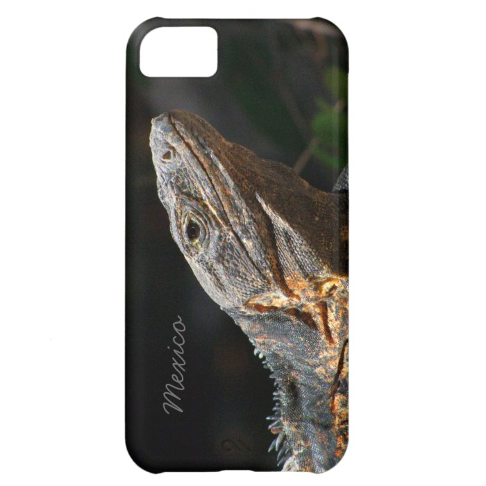 Iguana in the Sun; Mexico Souvenir Case For iPhone 5C