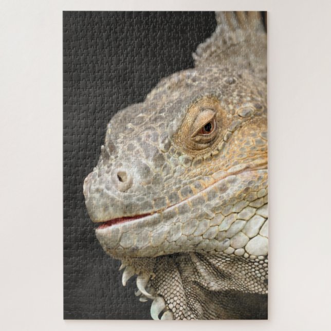 iguana jigsaw puzzle (Vertical)