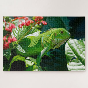Iguana Jigsaw Puzzle