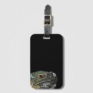 Iguana Lizard Animal Illustration