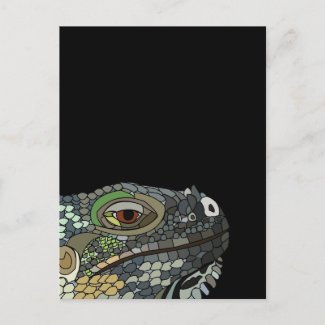 Iguana Lizard Animal Illustration