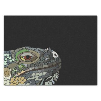 Iguana Lizard Animal Illustration