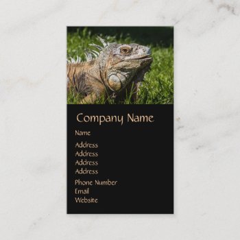 Iguana Lizard Business Card by PhotographyByPixie at Zazzle