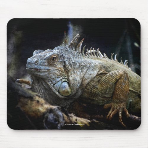 Iguana Lizard Reptile Wildlife Mousepad