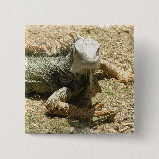 Iguana Lizard Square Pin (Front)