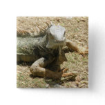 Iguana Lizard Square Pin
