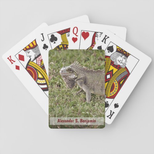 Iguana Lizzard Pet Animal Nature Personalize Poker Cards