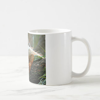 Iguana Mug