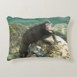 Iguana on the Rocks at St. Thomas Accent Pillow