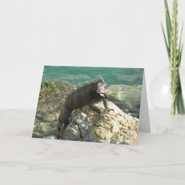 Iguana on the Rocks at St. Thomas Card (Front)