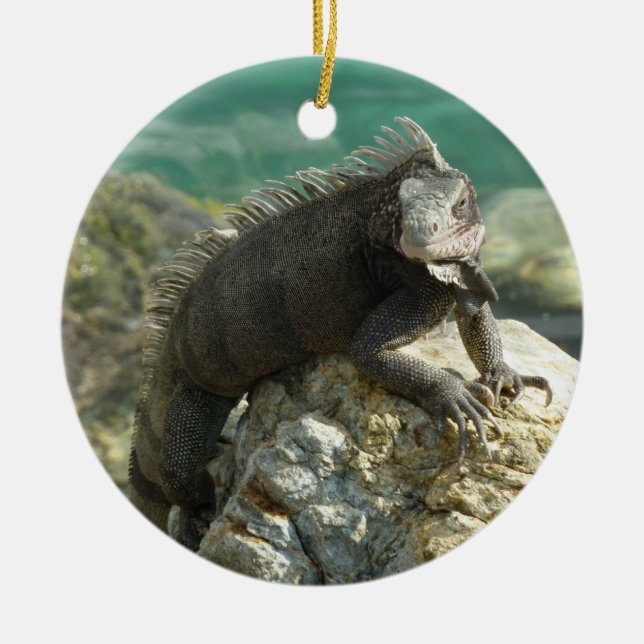 Iguana on the Rocks at St. Thomas Ceramic Ornament (Front)