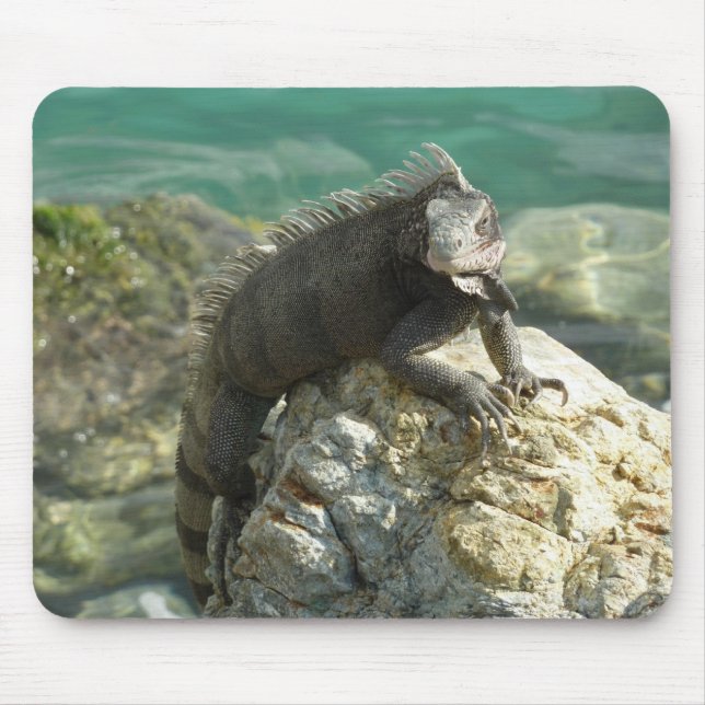 Iguana on the Rocks at St. Thomas Mouse Pad (Front)