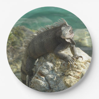 Iguana on the Rocks at St. Thomas Paper Plates