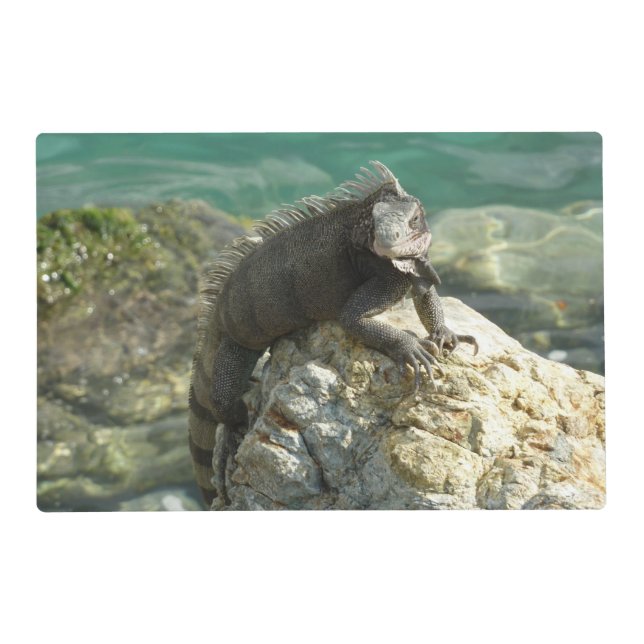 Iguana on the Rocks at St. Thomas Placemat (Front)