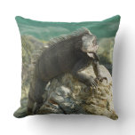 Iguana on the Rocks at St. Thomas Throw Pillow
