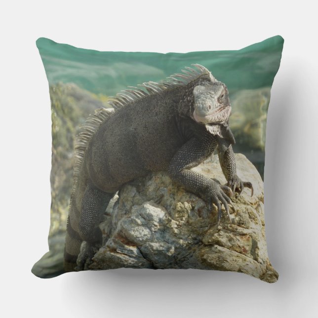 Iguana on the Rocks at St. Thomas Throw Pillow (Front)
