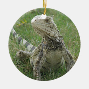 Iguana Ornament