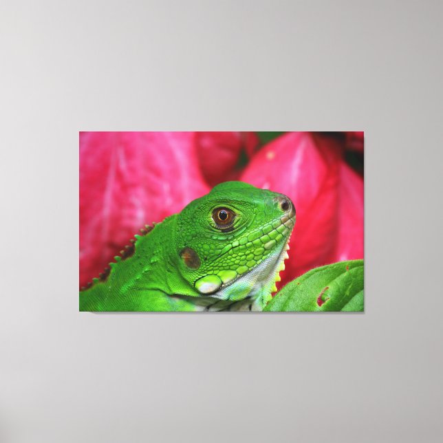 Iguana - pink and green canvas print (Front)