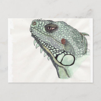 Iguana Postcard