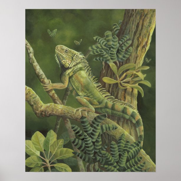 Reptile Posters & Prints | Zazzle