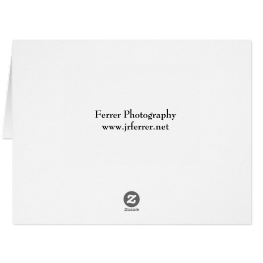 Iguana Profile (Back Horizontal)